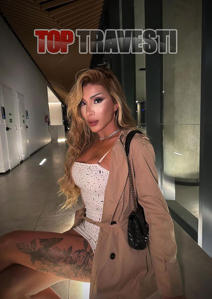 Acompanhante Top Travesti